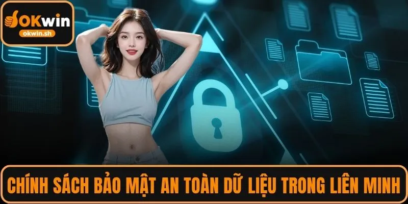 ảnh đại diện chính sách bảo mật